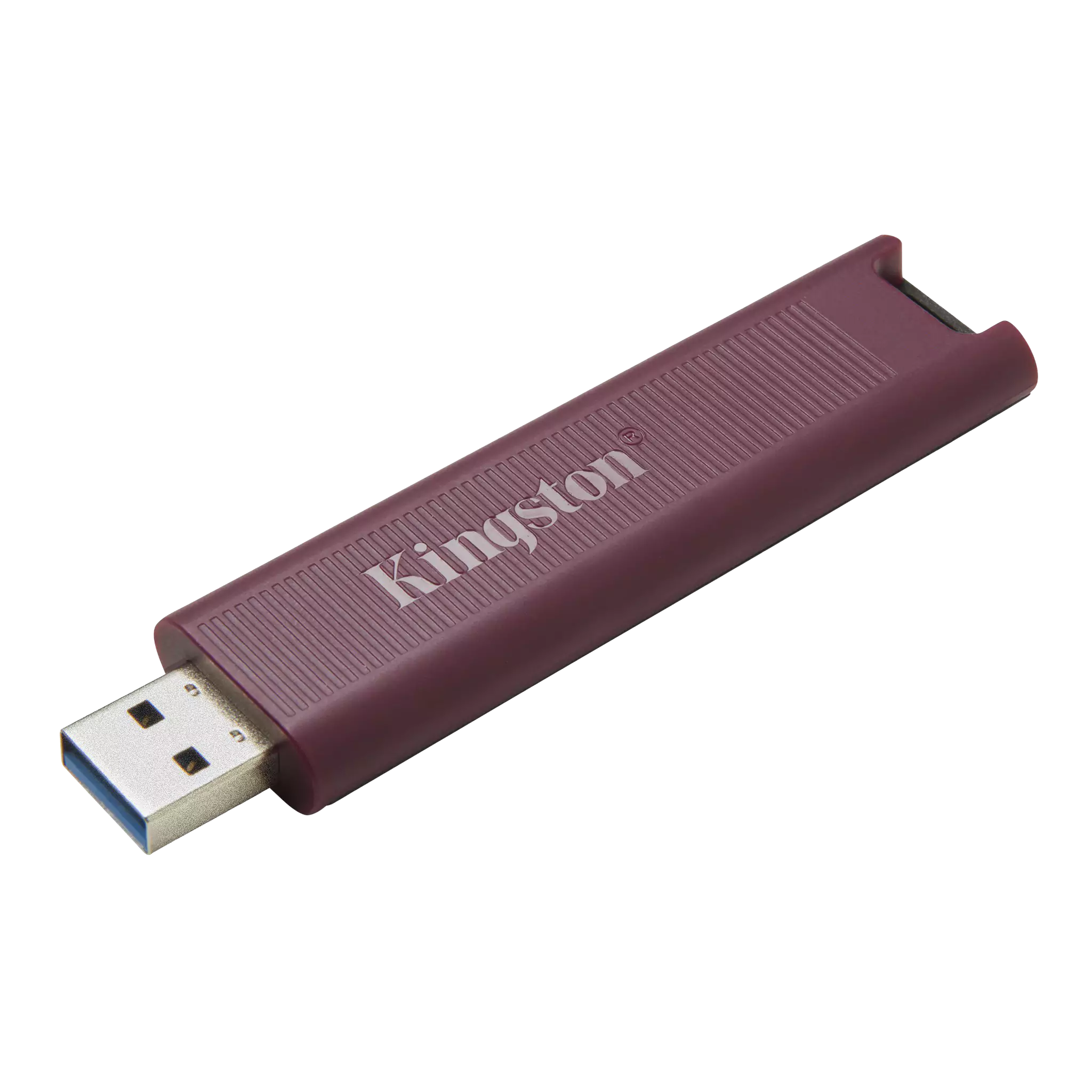 Kingston 1T dt Max type-A g2