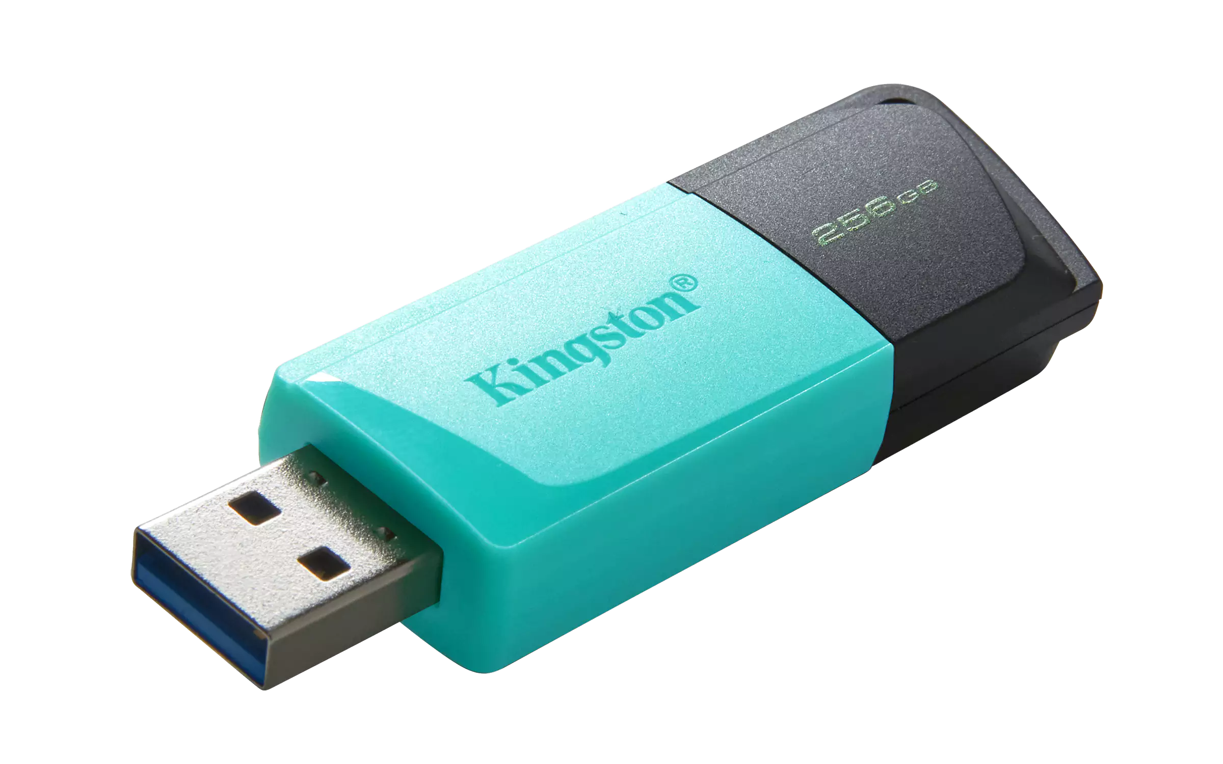 Kingston dtXM/256 eXodiaM t-a1
