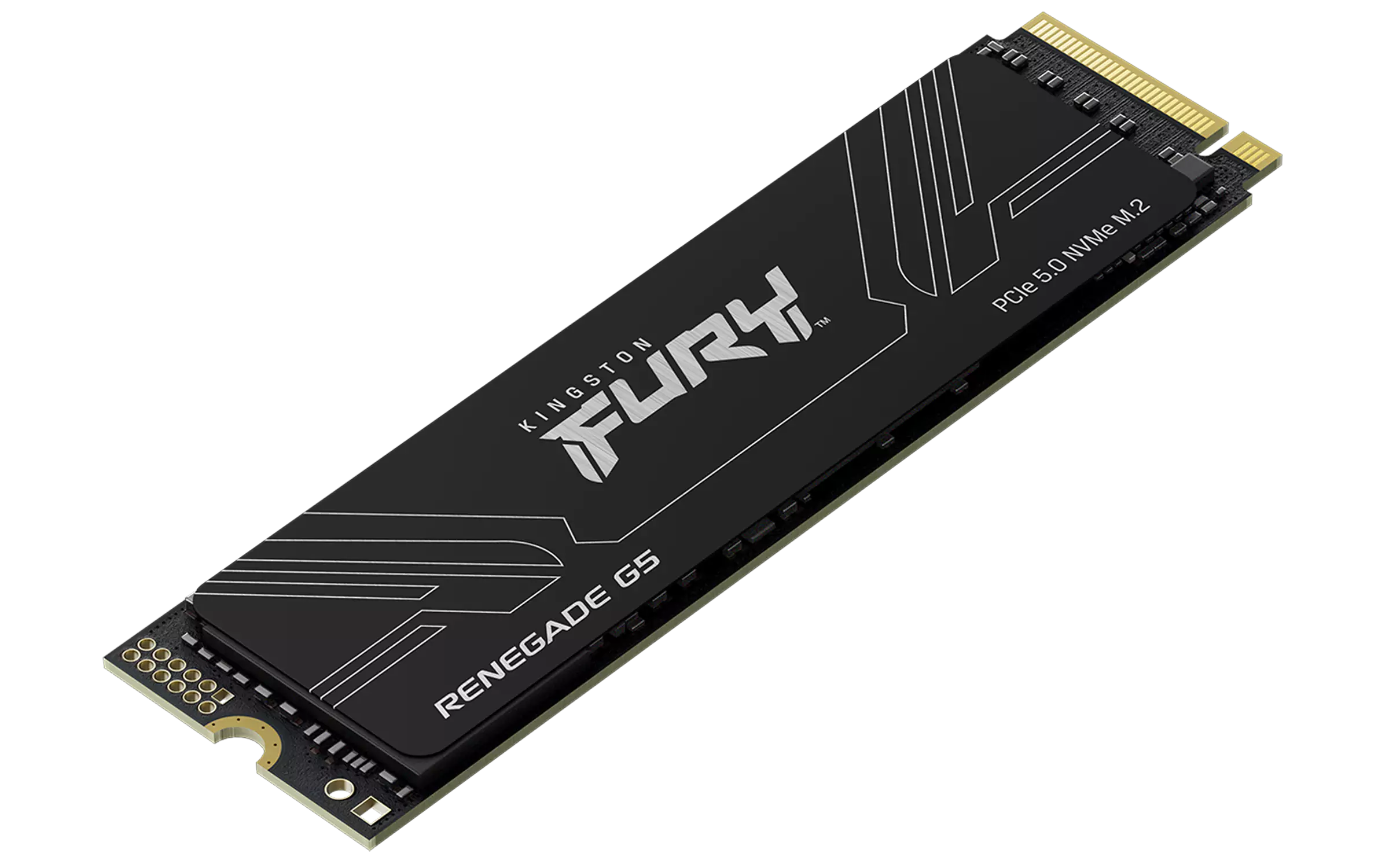Kingston nGff 2T FurY Reneg G5