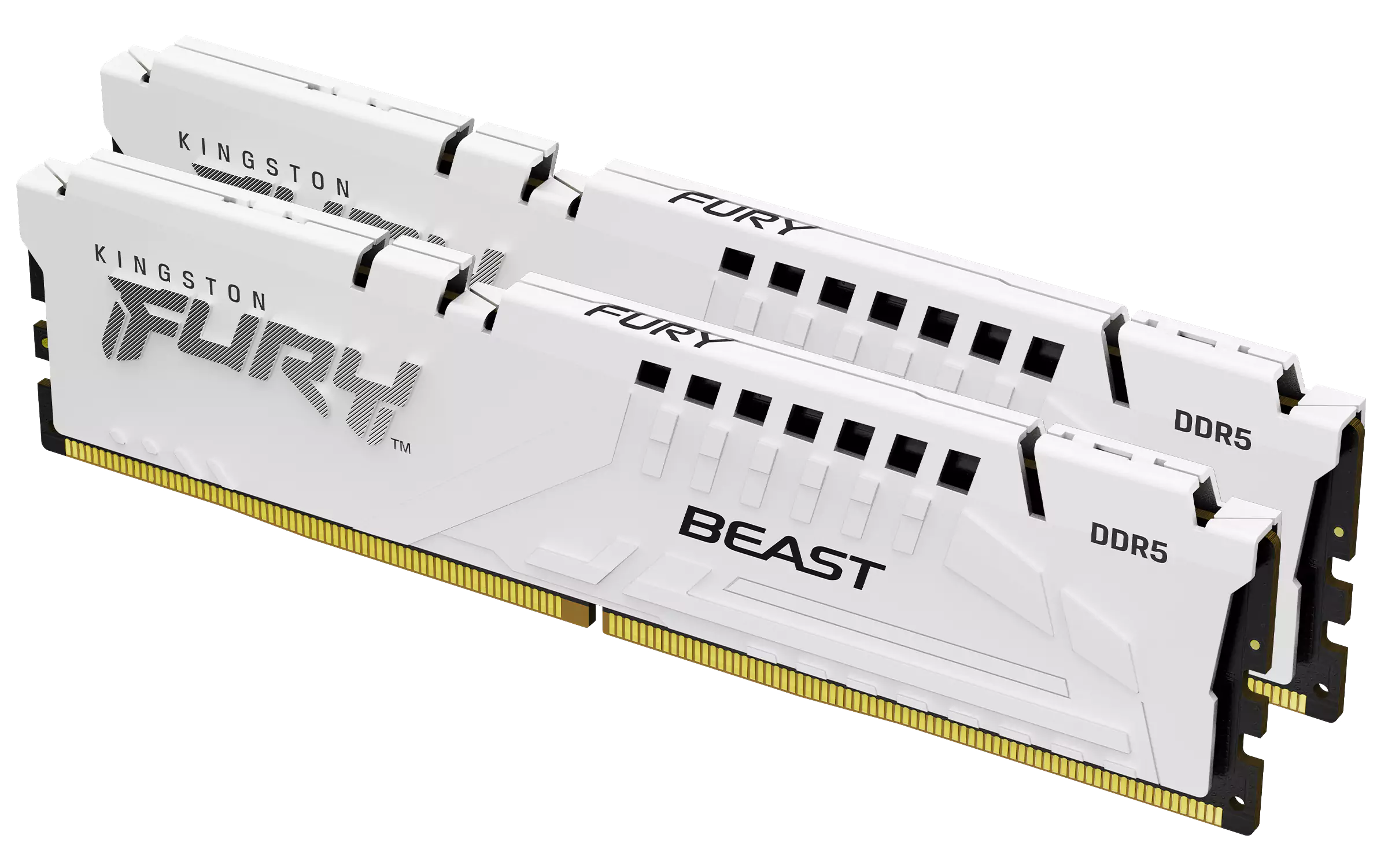 Kingston KF556C36BWEK2-64 D5-5600 B 32D